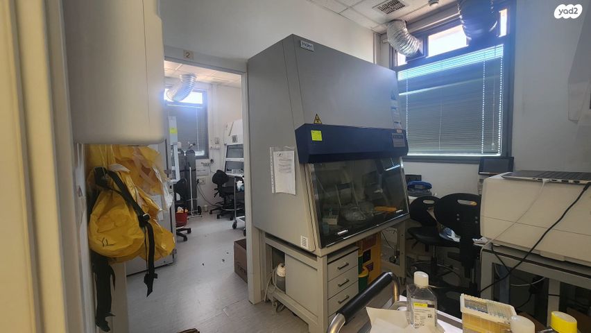 משרדים, אלי הורוביץ, פארק הורוביץ, רחובות