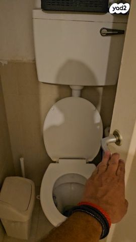 דירה, צ"ג בנות, רמב"ם, ראשון לציון