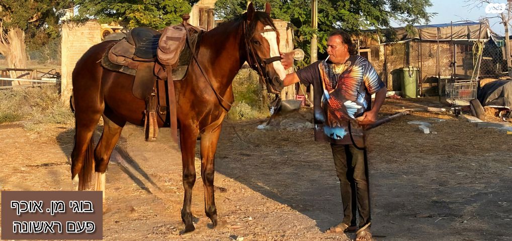 סוס סינגל פוט