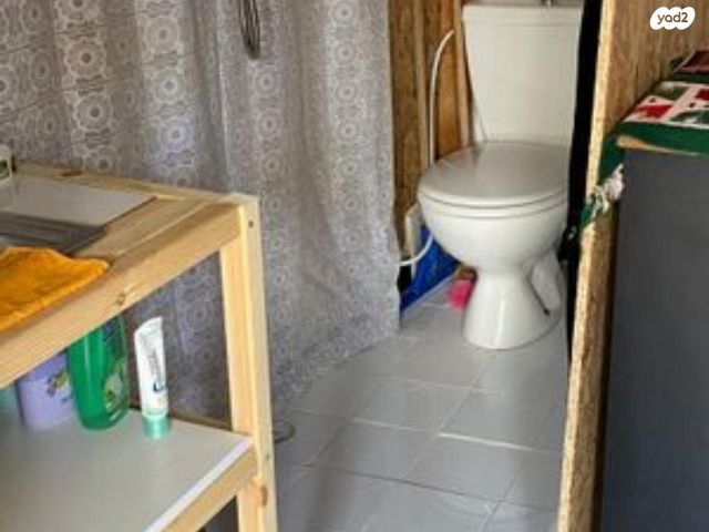 דירה, ורד יריחו