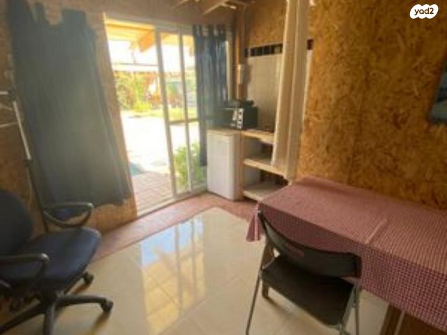 דירה, ורד יריחו