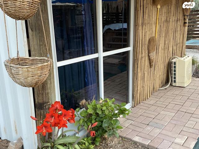 דירה, ורד יריחו