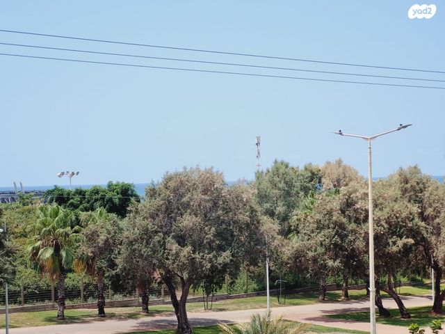 דירה, אשדוד