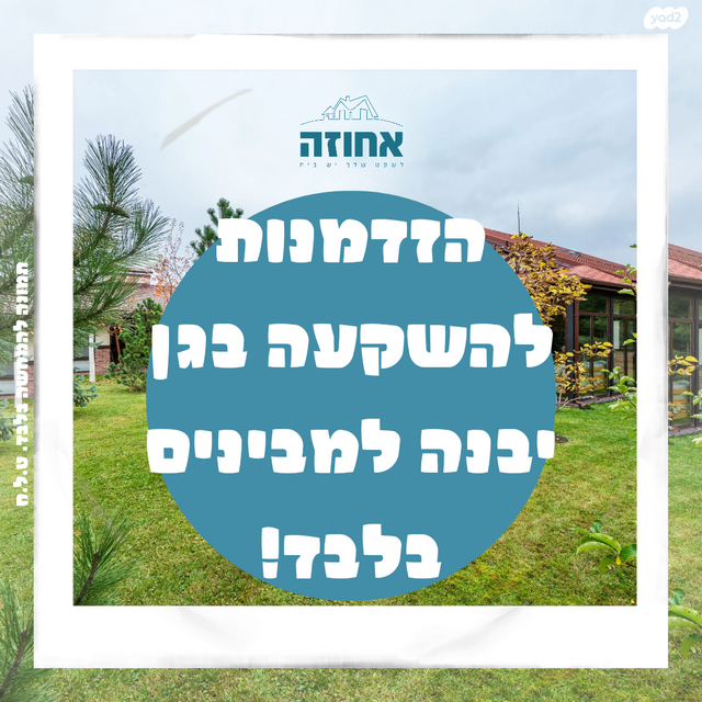 הר סיני 