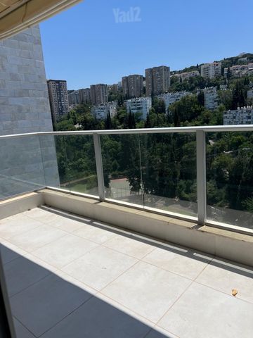 הצלפים 