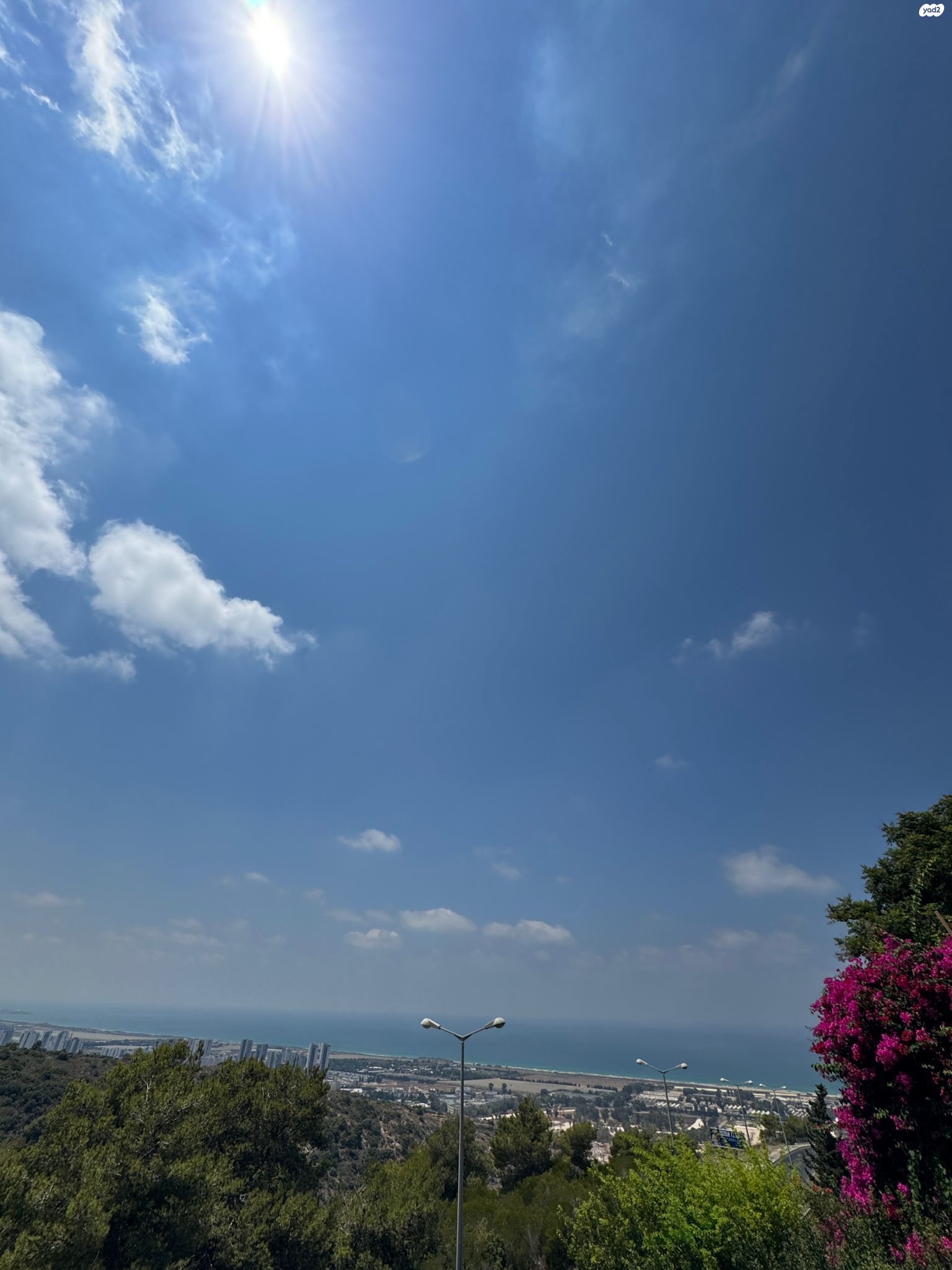 אלברט שווייצר 