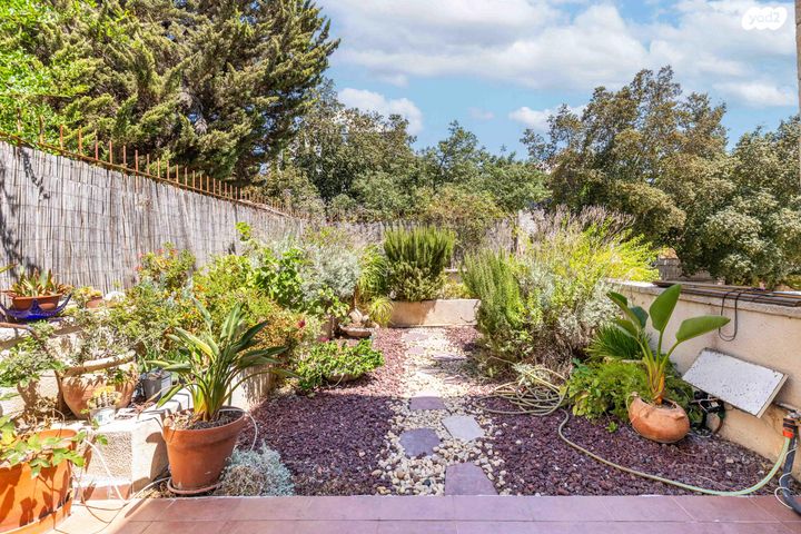 דירה, קורא הדורות 58, ארנונה, ירושלים