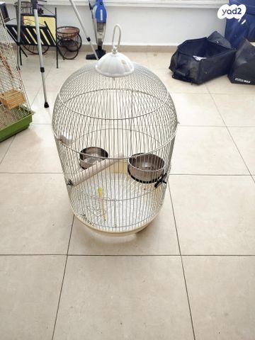 תמונת מודעה - חיות מחמד