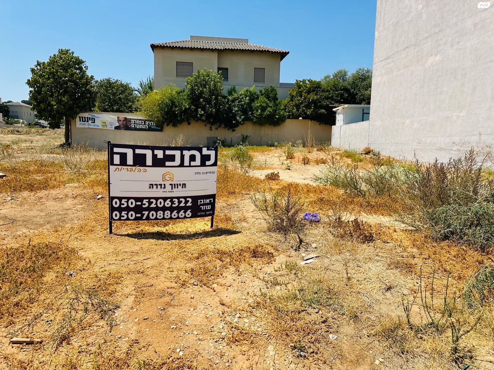 עין גדי 