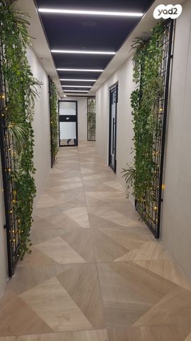 משרדים, שלמה מומו הלוי 5, הר החוצבים, ירושלים