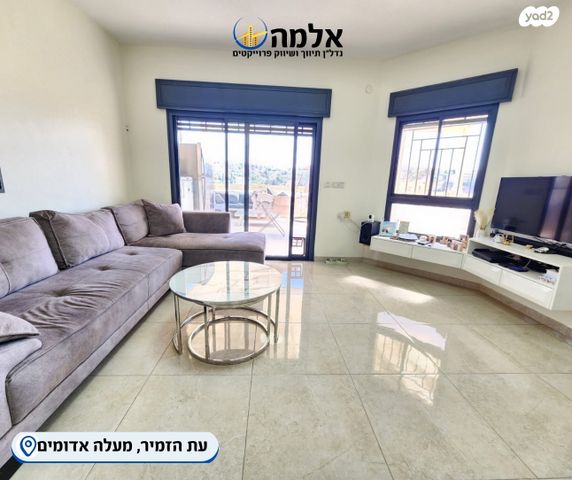 עת הזמיר 