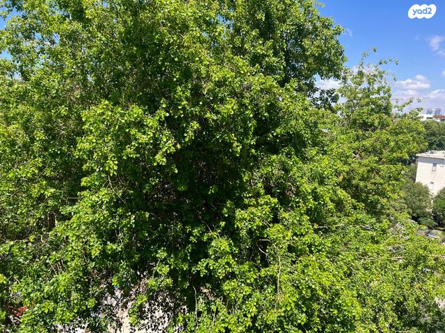 דירה, חברון, לב תל אביב, לב העיר צפון, תל אביב יפו