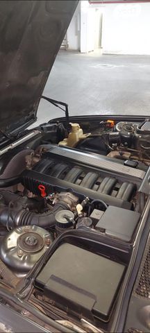 ב מ וו סדרה 5