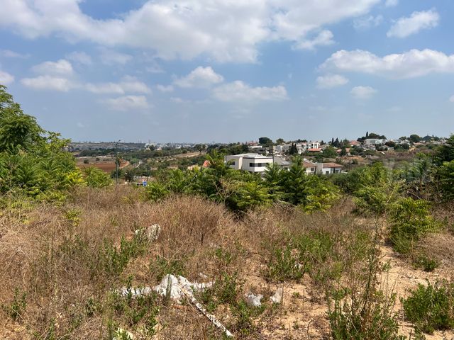 טירת שלום