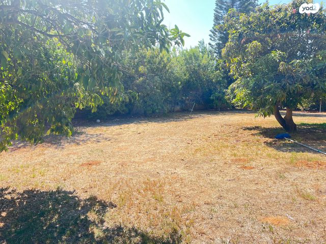 בית פרטי/ קוטג', סביון