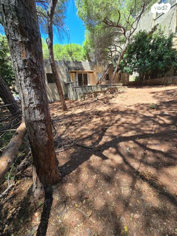 בית פרטי/ קוטג', איריס, רמת התשבי, חיפה