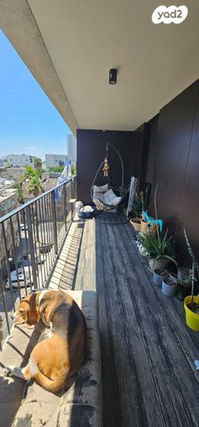 דירה, חזנוביץ', נווה שאנן, תל אביב יפו