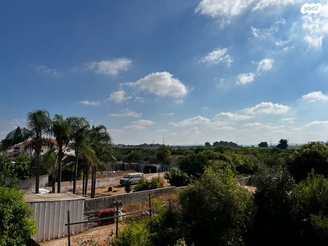 דו משפחתי, צדקיהו, כפר סבא