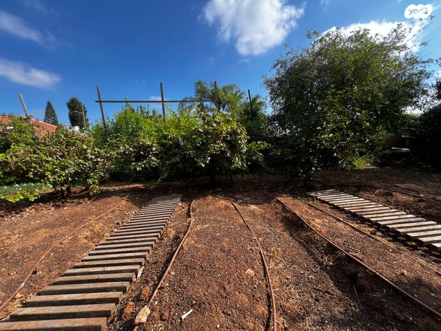 דו משפחתי, צדקיהו, כפר סבא