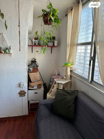 אוסוולדו ארניה 26