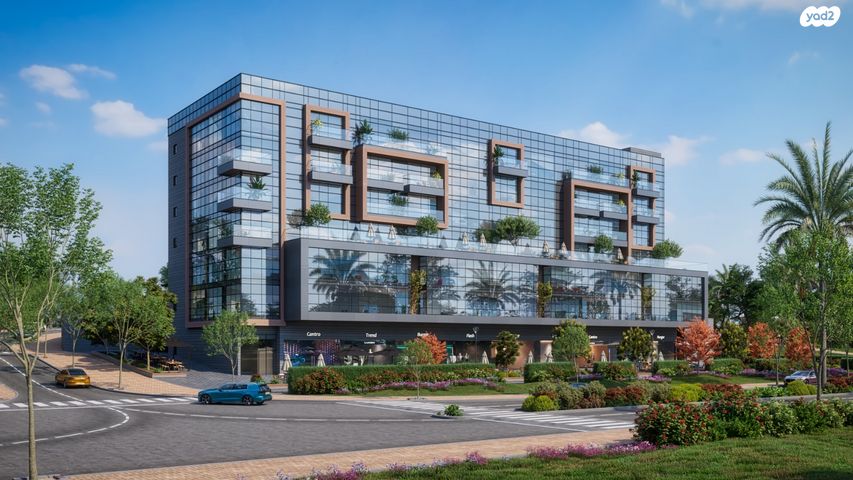 אחת עשרה הנקודות 