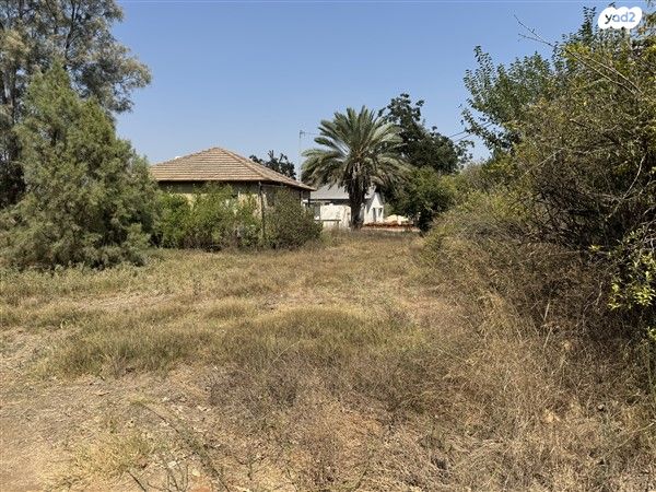 משק חקלאי/ נחלה