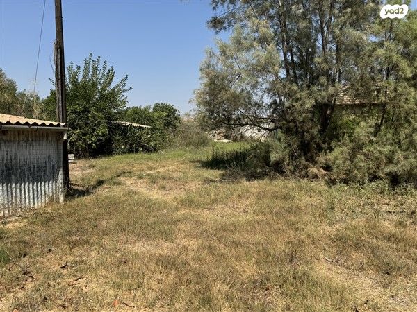 משק חקלאי/ נחלה