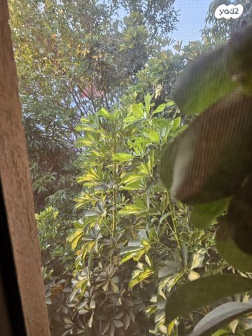 בית פרטי/ קוטג', תנובות