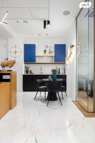 משרדים, פרופ' אברהם פצ'ורניק, נס ציונה