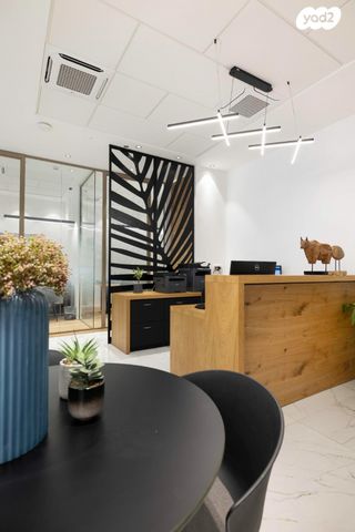 משרדים, פרופ' אברהם פצ'ורניק, נס ציונה