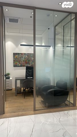 משרדים, פרופ' אברהם פצ'ורניק, נס ציונה