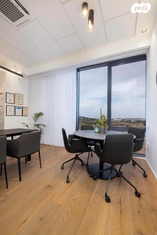 משרדים, פרופ' אברהם פצ'ורניק, נס ציונה