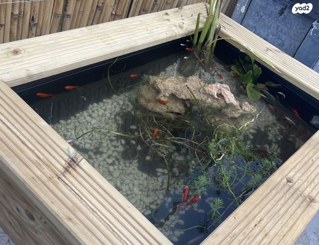 תמונת מודעה - חיות מחמד