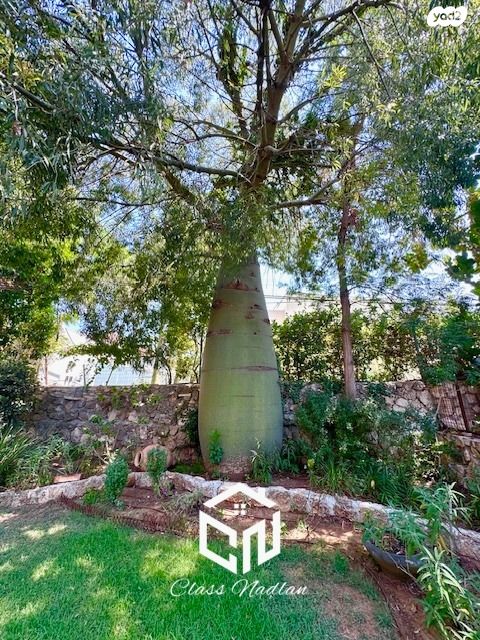 בית פרטי/ קוטג', רמת גן