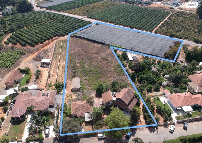 משק חקלאי/ נחלה, עין ורד