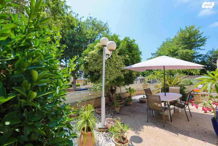 מאיר בר אילן 