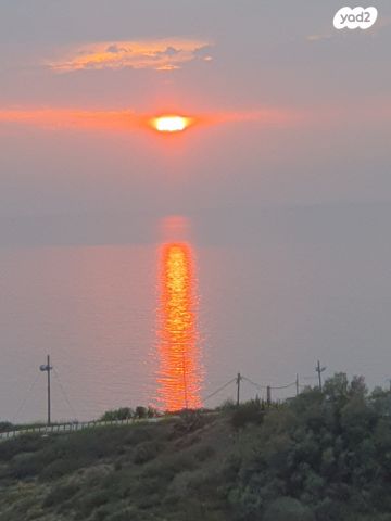 דירה, השייטת, שער הים, ראשון לציון