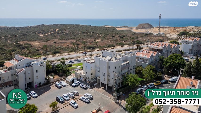 דירה, אירוס הארגמן, גבעת האירוסים, נתניה