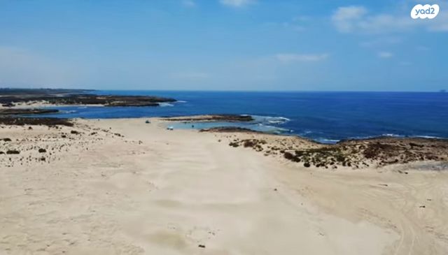 מגרשים, הצבעוני, נווה הפרחים, עתלית