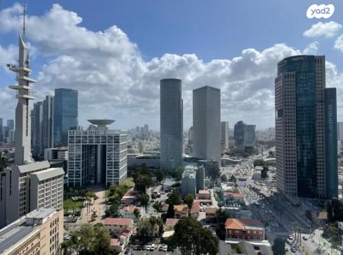 ליאונרדו דה וינצ'י 12