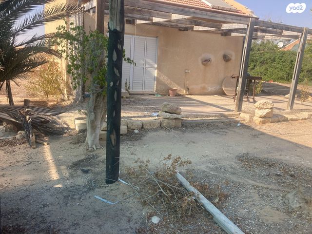 משק חקלאי/ נחלה, כמהין