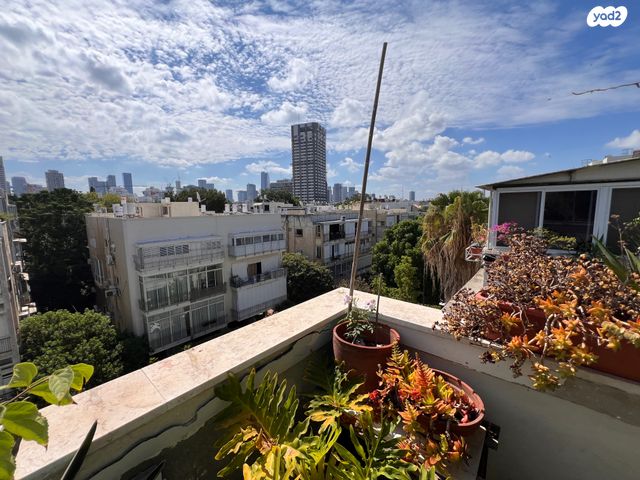 שלמה המלך 101