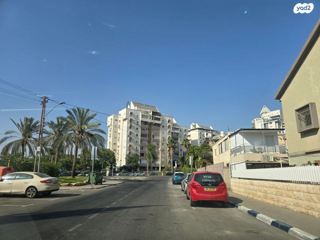 כצנלסון 