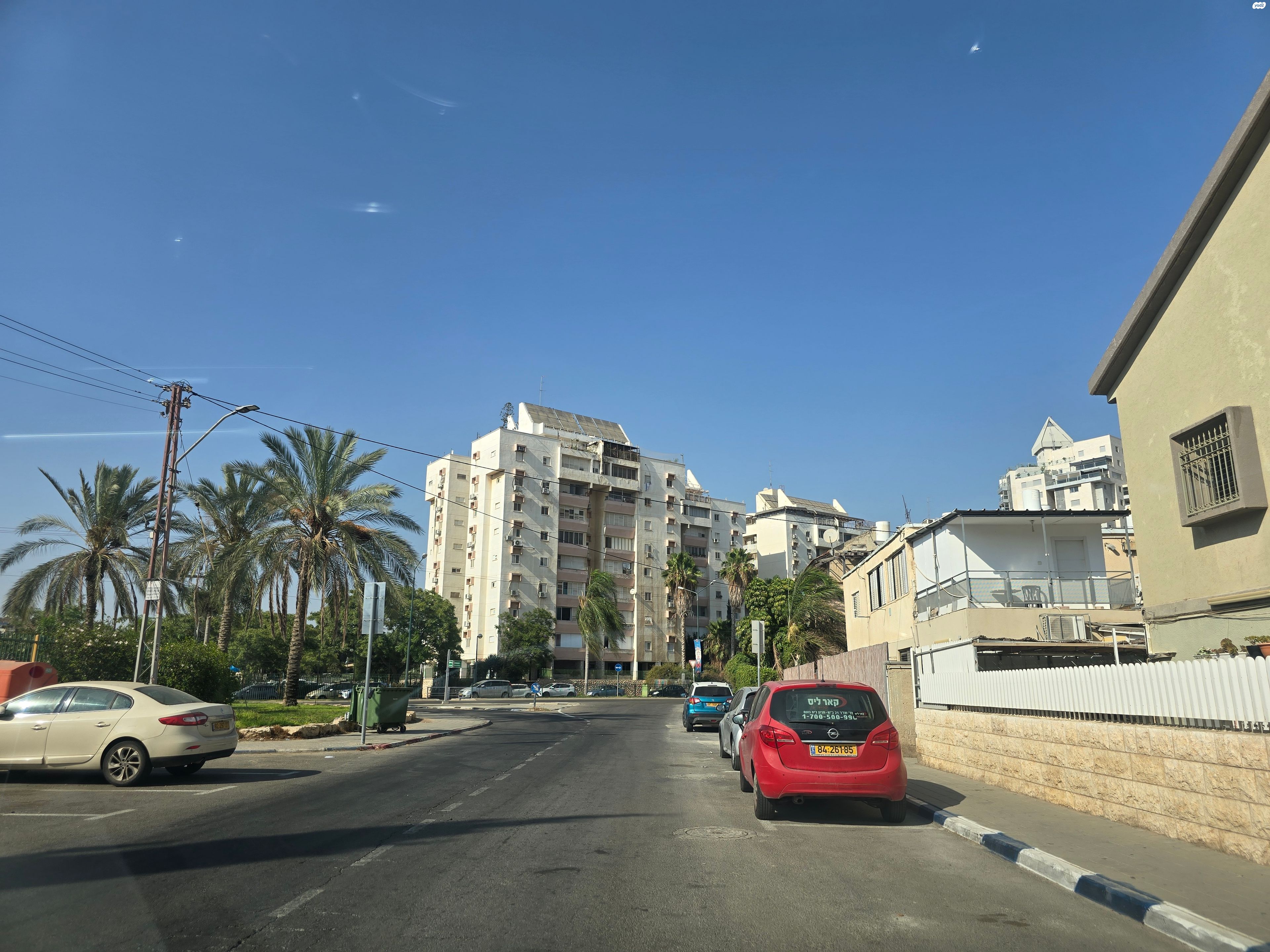 כצנלסון 