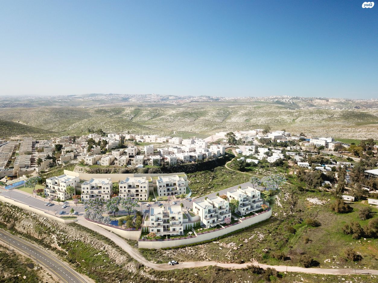 שלם 