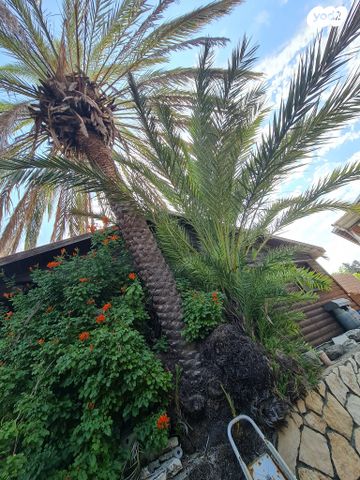 בית פרטי/ קוטג', נוף העמק, יקנעם עילית