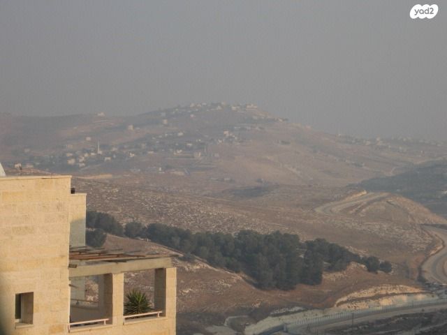 שאול אביגור 