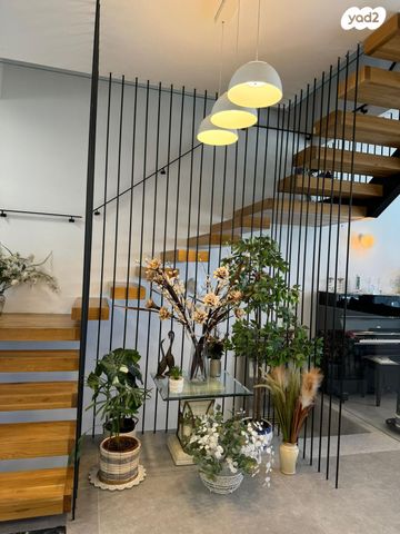 יער בית קשת 