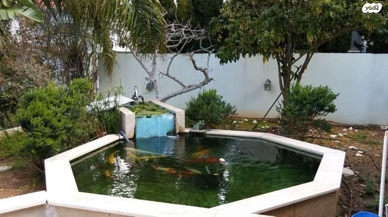 בית פרטי/ קוטג', צור משה