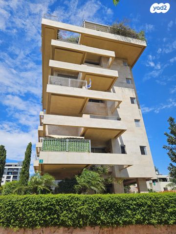 שדרות הקונגרס 